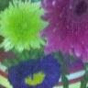 Meet your Posher, Terri